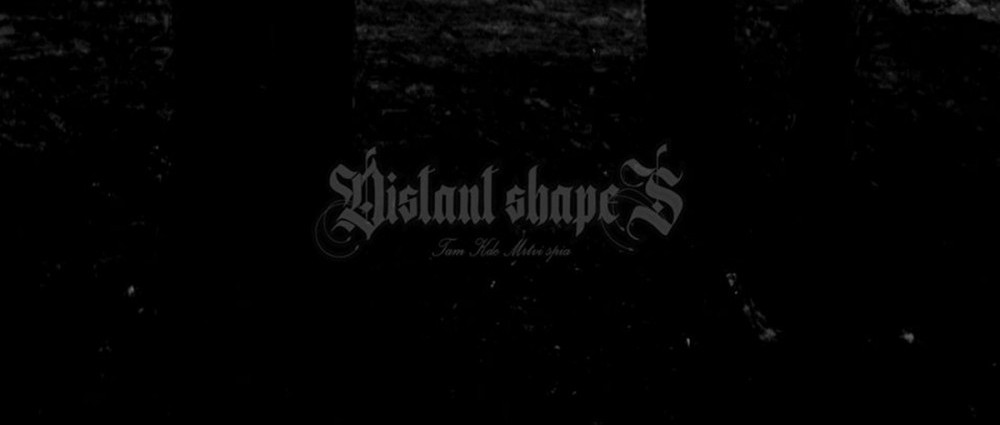 DISTANT SHAPES - Debutový album rozhodne prekvapí poslucháčov