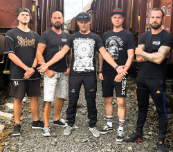 TENDR ví, jak se stát Online králem