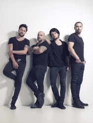 SUPPORT LESBIENS 2015