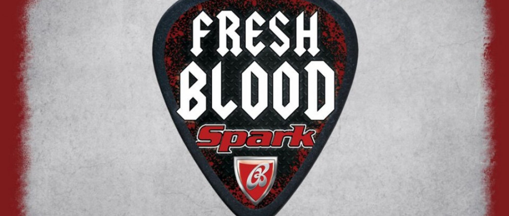 Co dělají finalisté soutěže SPARK FRESH BLOOD?