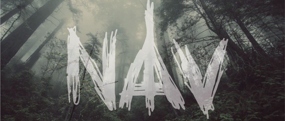 NĀV - CD na nás působí z hudebního hlediska chladně a mrtvě. Jsme rádi, že Arcizlo vychází na vinylu!