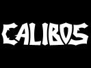 Vzpomínky na zemi, kde vládne CALIBOS