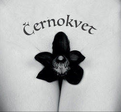 ČERNOKVET_cd