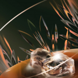 THE LAST SAFETY MATCH_cd