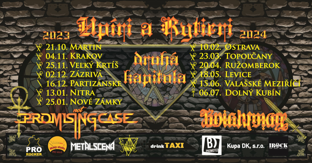 NOT PROMISING CASE_plakát