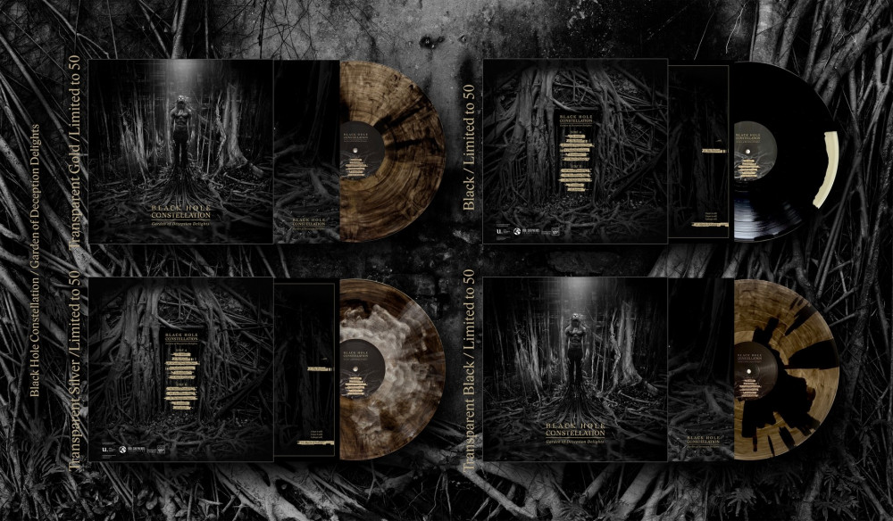 BLACK HOLE CONSTELLATION_vinyl