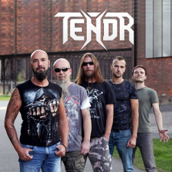 TENDR